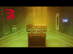 6 cabezas láser 3 en 1 haz de láser de píxeles que se mueve luz de la cabeza Fabricantes