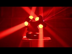 Laser rojo verde DMX512 Rueda de fuego de doble cabeza